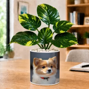 Artificial Tree Ceramic Photo Pot With White Stones 3x4 Inch (F166308) Artificial Tree Ceramic Photo Pot With White Stones 3x4 Inch (F166308)