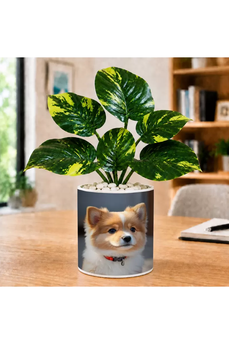 Artificial Tree Ceramic Photo Pot With White Stones 3x4 Inch (F166308)
