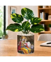 Artificial Tree Ceramic Photo Pot With White Stones 3x4 Inch (F166314)