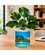 Artificial Tree Ceramic Photo Pot With White Stones 3x4 Inch (F166322)