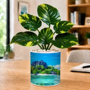Artificial Tree Ceramic Photo Pot With White Stones 3x4 Inch (F166322) Artificial Tree Ceramic Photo Pot With White Stones 3x4 Inch (F166322)