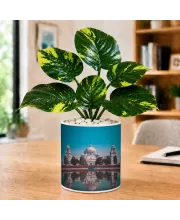 Artificial Tree Ceramic Photo Pot With White Stones 3x4 Inch (F166323)