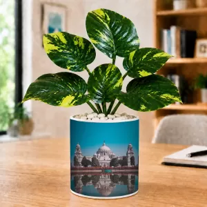 Artificial Tree Ceramic Photo Pot With White Stones 3x4 Inch (F166323) Artificial Tree Ceramic Photo Pot With White Stones 3x4 Inch (F166323)