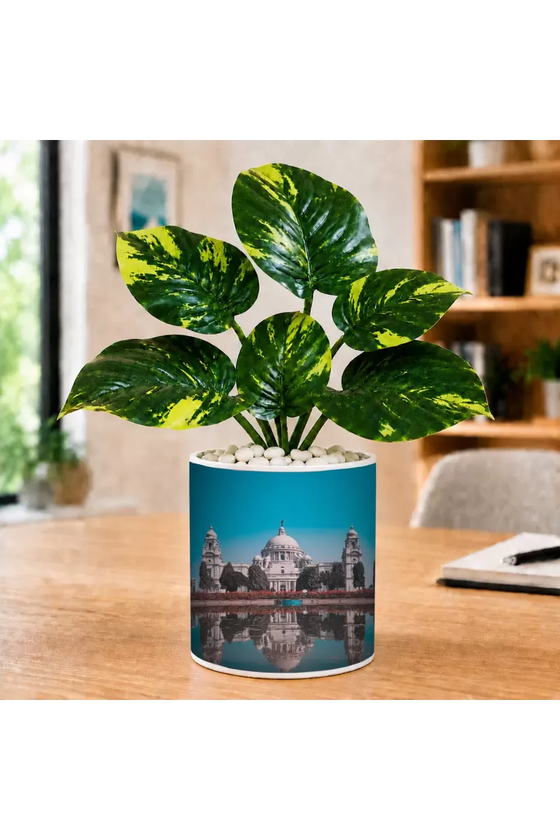 Artificial Tree Ceramic Photo Pot With White Stones 3x4 Inch (F166323)