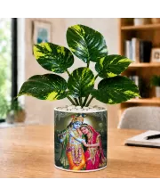 Artificial Tree Ceramic Photo Pot With White Stones 3x4 Inch (F166327)