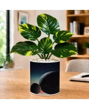 Artificial Tree Ceramic Photo Pot With White Stones 3x4 Inch (F166335)
