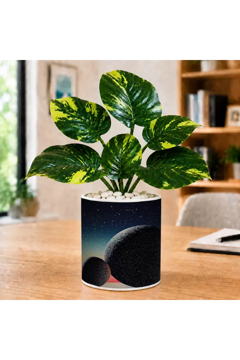 Artificial Tree Ceramic Photo Pot With White Stones 3x4 Inch (F166335)