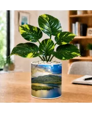 Artificial Tree Ceramic Photo Pot With White Stones 3x4 Inch (F166342)