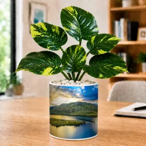 Artificial Tree Ceramic Photo Pot With White Stones 3x4 Inch (F166342) Artificial Tree Ceramic Photo Pot With White Stones 3x4 Inch (F166342)