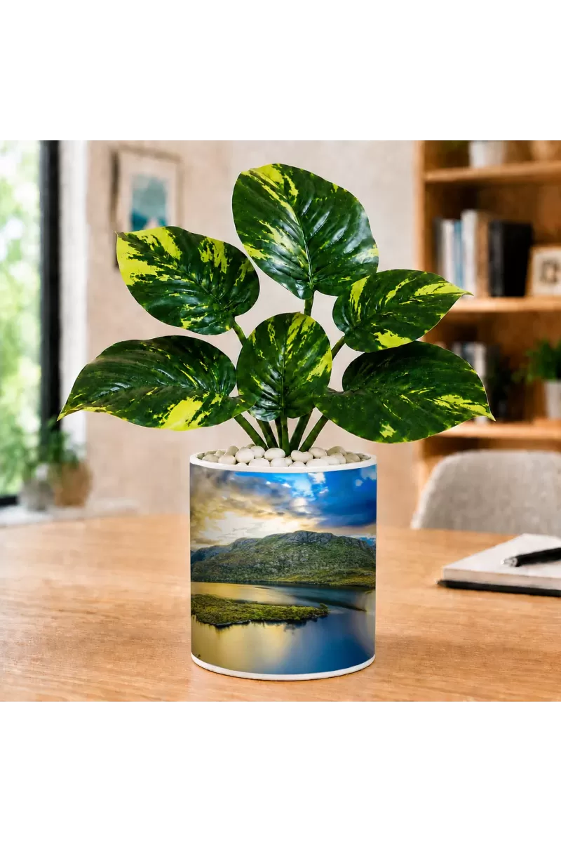 Artificial Tree Ceramic Photo Pot With White Stones 3x4 Inch (F166342)