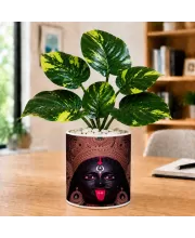 Artificial Tree Ceramic Photo Pot With White Stones 3x4 Inch (F166345)