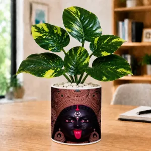 Artificial Tree Ceramic Photo Pot With White Stones 3x4 Inch (F166345) Artificial Tree Ceramic Photo Pot With White Stones 3x4 Inch (F166345)