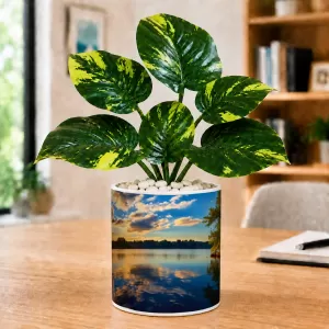 Artificial Tree Ceramic Photo Pot With White Stones 3x4 Inch (F166347) Artificial Tree Ceramic Photo Pot With White Stones 3x4 Inch (F166347)