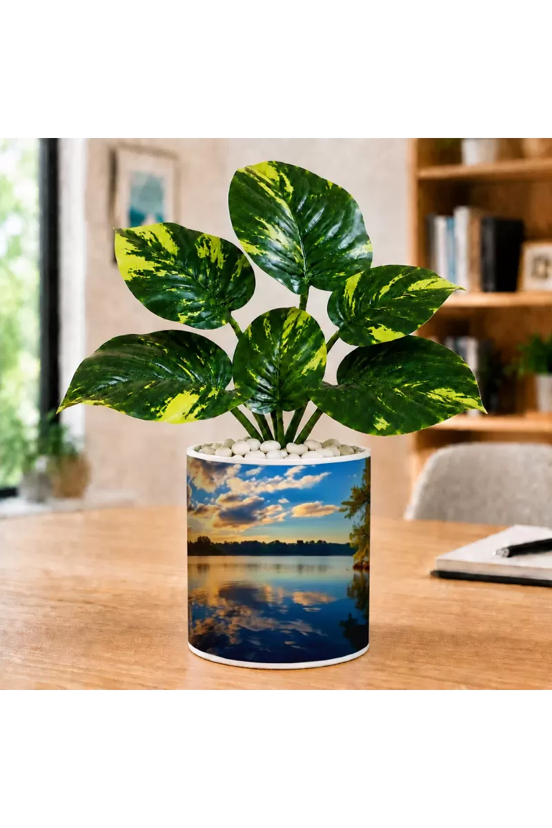 Artificial Tree Ceramic Photo Pot With White Stones 3x4 Inch (F166347)