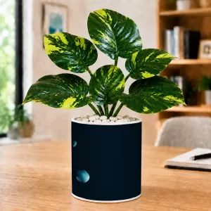 Artificial Tree Ceramic Photo Pot With White Stones 3x4 Inch (F166349) Artificial Tree Ceramic Photo Pot With White Stones 3x4 Inch (F166349)