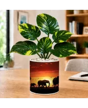 Artificial Tree Ceramic Photo Pot With White Stones 3x4 Inch (F166368)