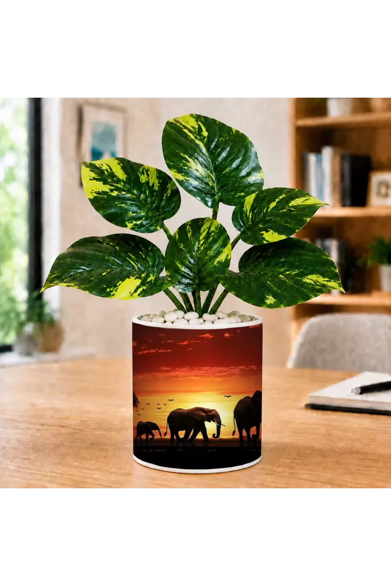 Artificial Tree Ceramic Photo Pot With White Stones 3x4 Inch (F166368)