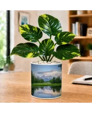 Artificial Tree Ceramic Photo Pot With White Stones 3x4 Inch (F166370)