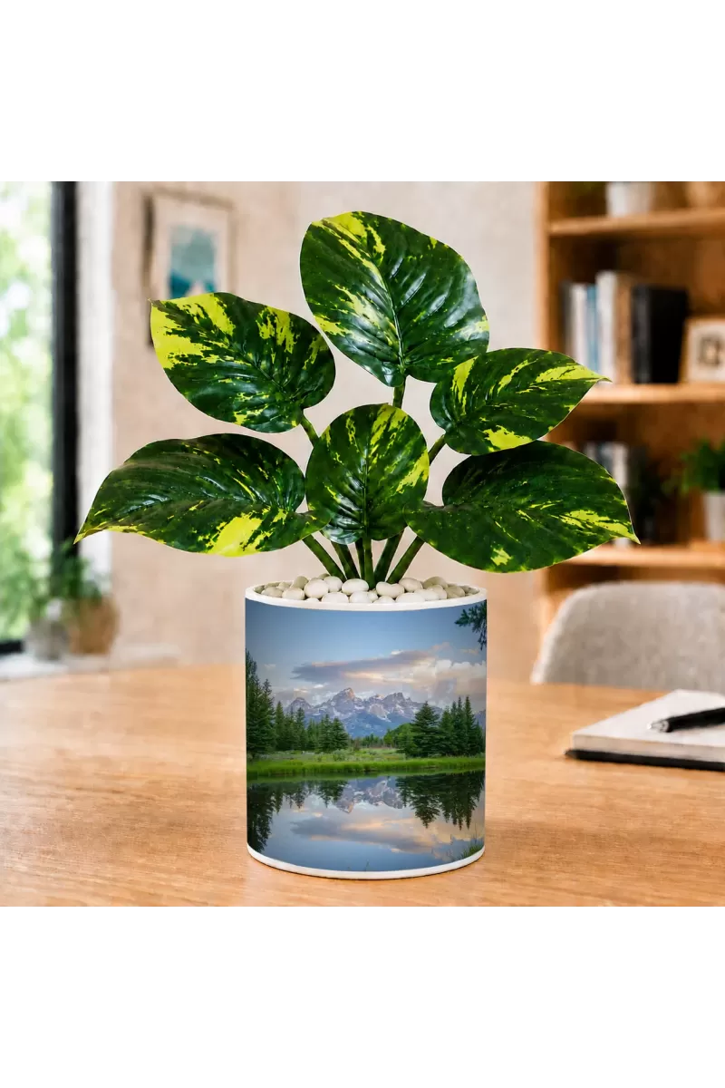 Artificial Tree Ceramic Photo Pot With White Stones 3x4 Inch (F166370)