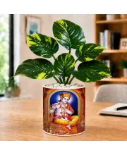 Artificial Tree Ceramic Photo Pot With White Stones 3x4 Inch (F166378)