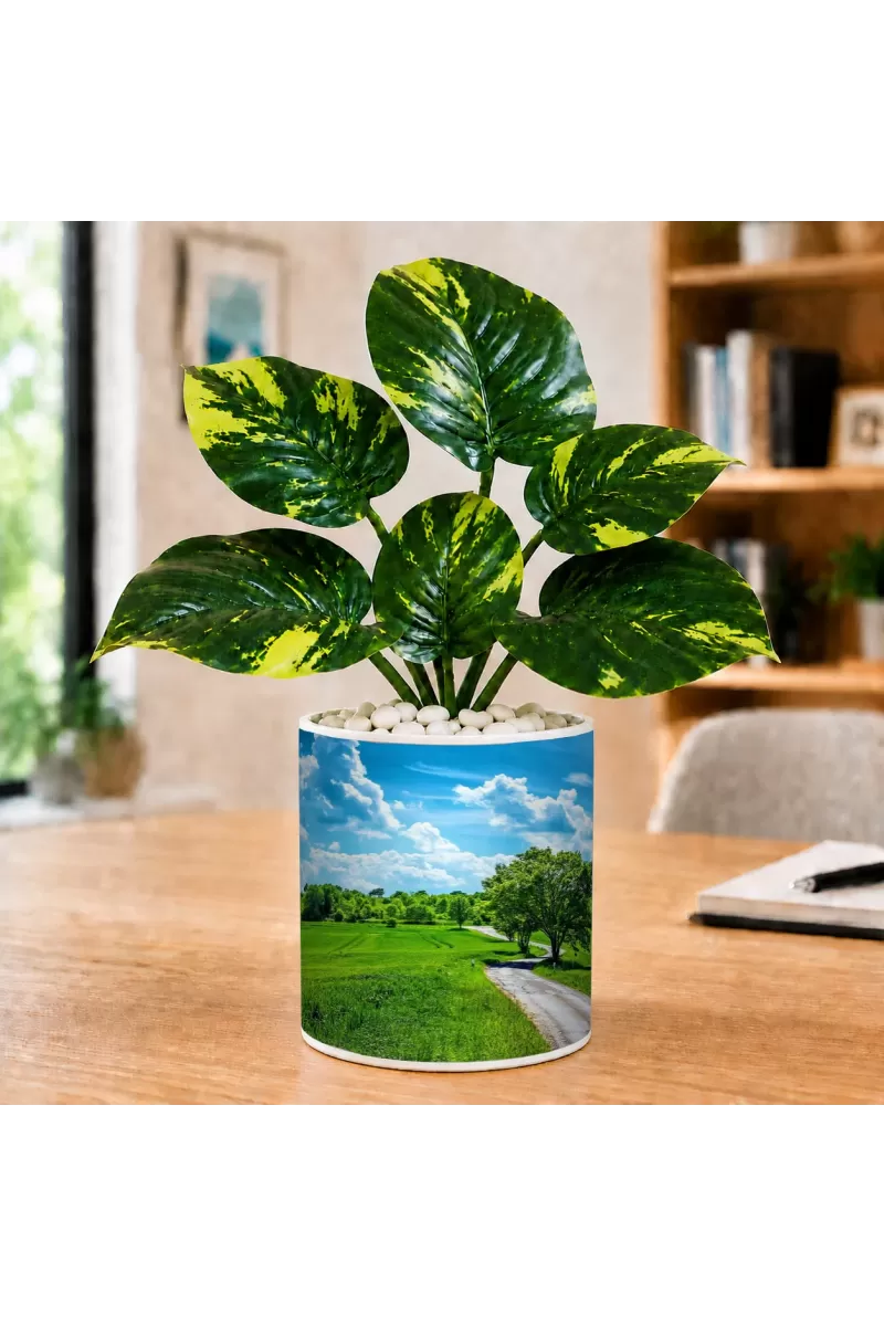 Artificial Tree Ceramic Photo Pot With White Stones 3x4 Inch (F166379)