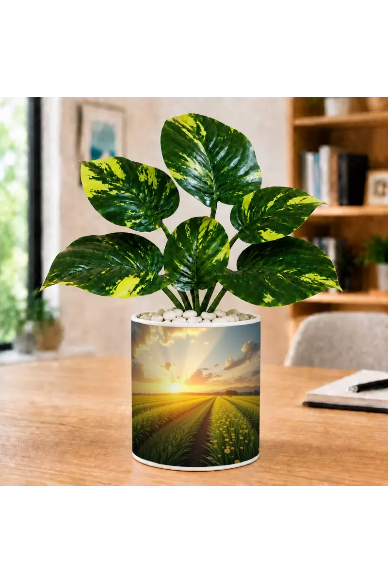 Artificial Tree Ceramic Photo Pot With White Stones 3x4 Inch (F166391)