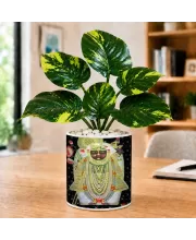 Artificial Tree Ceramic Photo Pot With White Stones 3x4 Inch (F166392)