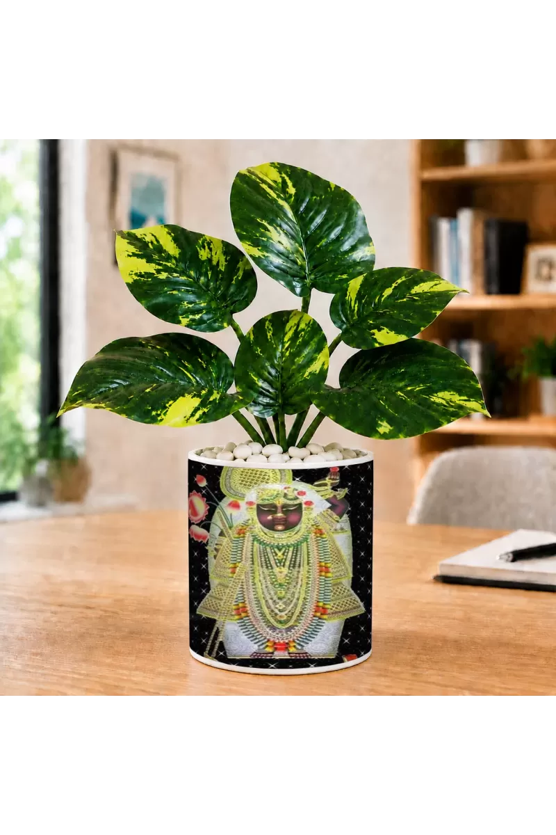 Artificial Tree Ceramic Photo Pot With White Stones 3x4 Inch (F166392)