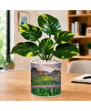 Artificial Tree Ceramic Photo Pot With White Stones 3x4 Inch (F166401)