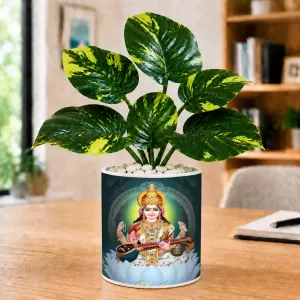 Artificial Tree Ceramic Photo Pot With White Stones 3x4 Inch (F166409) Artificial Tree Ceramic Photo Pot With White Stones 3x4 Inch (F166409)
