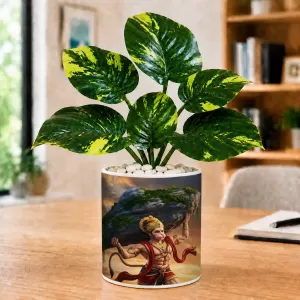 Artificial Tree Ceramic Photo Pot With White Stones 3x4 Inch (F166419) Artificial Tree Ceramic Photo Pot With White Stones 3x4 Inch (F166419)