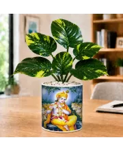 Artificial Tree Ceramic Photo Pot With White Stones 3x4 Inch (F166424)