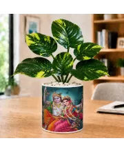 Artificial Tree Ceramic Photo Pot With White Stones 3x4 Inch (F166426)