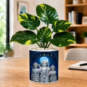 Artificial Tree Ceramic Photo Pot With White Stones 3x4 Inch (F166433) Artificial Tree Ceramic Photo Pot With White Stones 3x4 Inch (F166433)