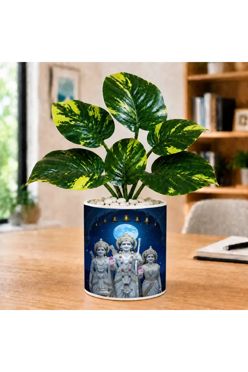Artificial Tree Ceramic Photo Pot With White Stones 3x4 Inch (F166433)