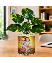 Artificial Tree Ceramic Photo Pot With White Stones 3x4 Inch (F166452)