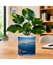 Artificial Tree Ceramic Photo Pot With White Stones 3x4 Inch (F166456)