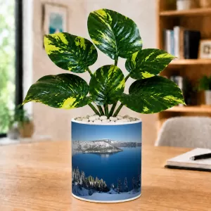 Artificial Tree Ceramic Photo Pot With White Stones 3x4 Inch (F166456) Artificial Tree Ceramic Photo Pot With White Stones 3x4 Inch (F166456)