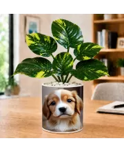 Artificial Tree Ceramic Photo Pot With White Stones 3x4 Inch (F166462)