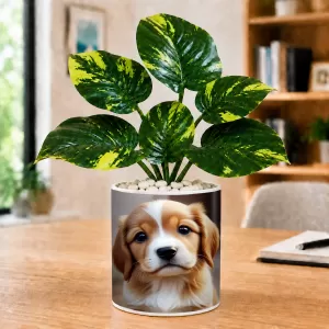Artificial Tree Ceramic Photo Pot With White Stones 3x4 Inch (F166462) Artificial Tree Ceramic Photo Pot With White Stones 3x4 Inch (F166462)