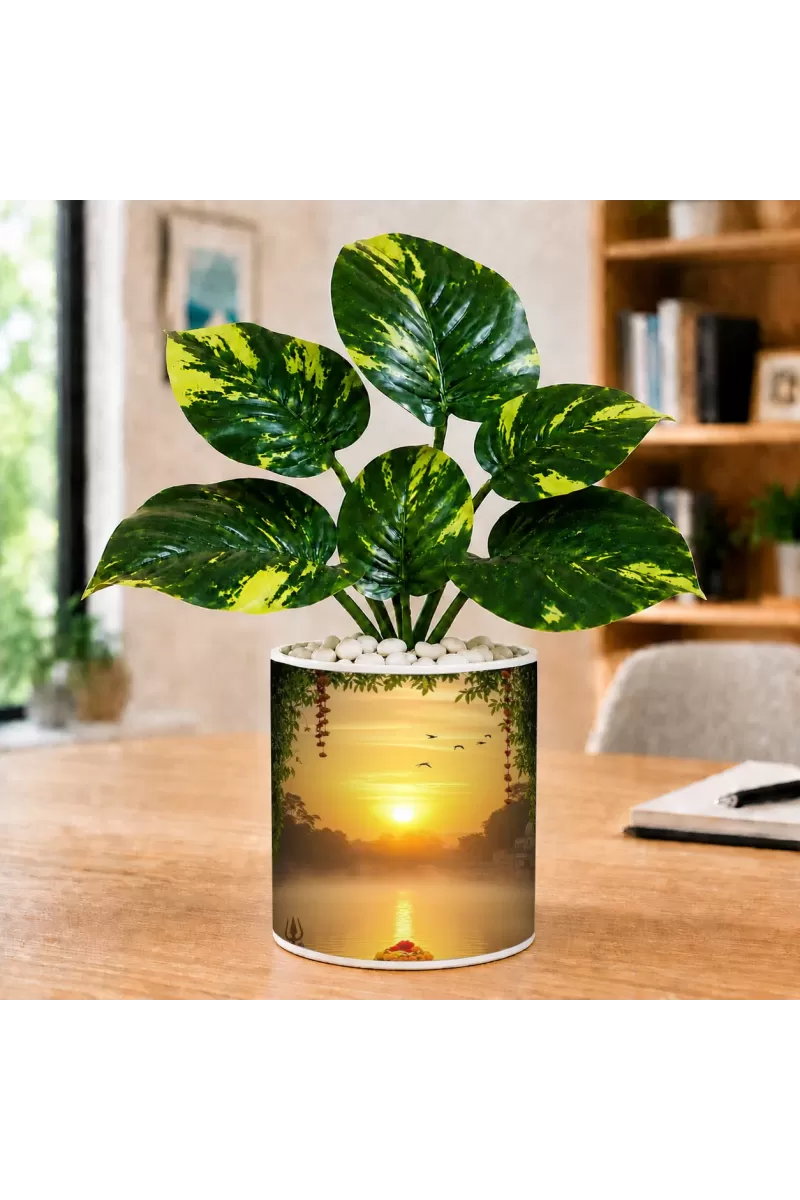 Artificial Tree Ceramic Photo Pot With White Stones 3x4 Inch (F166467)