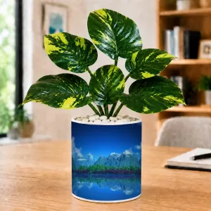 Artificial Tree Ceramic Photo Pot With White Stones 3x4 Inch (F166478) Artificial Tree Ceramic Photo Pot With White Stones 3x4 Inch (F166478)