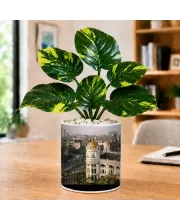Artificial Tree Ceramic Photo Pot With White Stones 3x4 Inch (F166480)