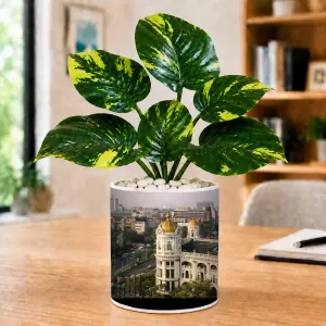 Artificial Tree Ceramic Photo Pot With White Stones 3x4 Inch (F166480)