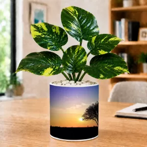 Artificial Tree Ceramic Photo Pot With White Stones 3x4 Inch (F166486)