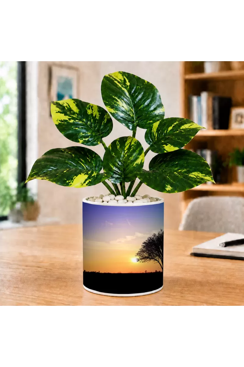 Artificial Tree Ceramic Photo Pot With White Stones 3x4 Inch (F166486)