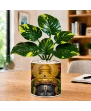 Artificial Tree Ceramic Photo Pot With White Stones 3x4 Inch (F166488)