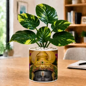 Artificial Tree Ceramic Photo Pot With White Stones 3x4 Inch (F166488) Artificial Tree Ceramic Photo Pot With White Stones 3x4 Inch (F166488)