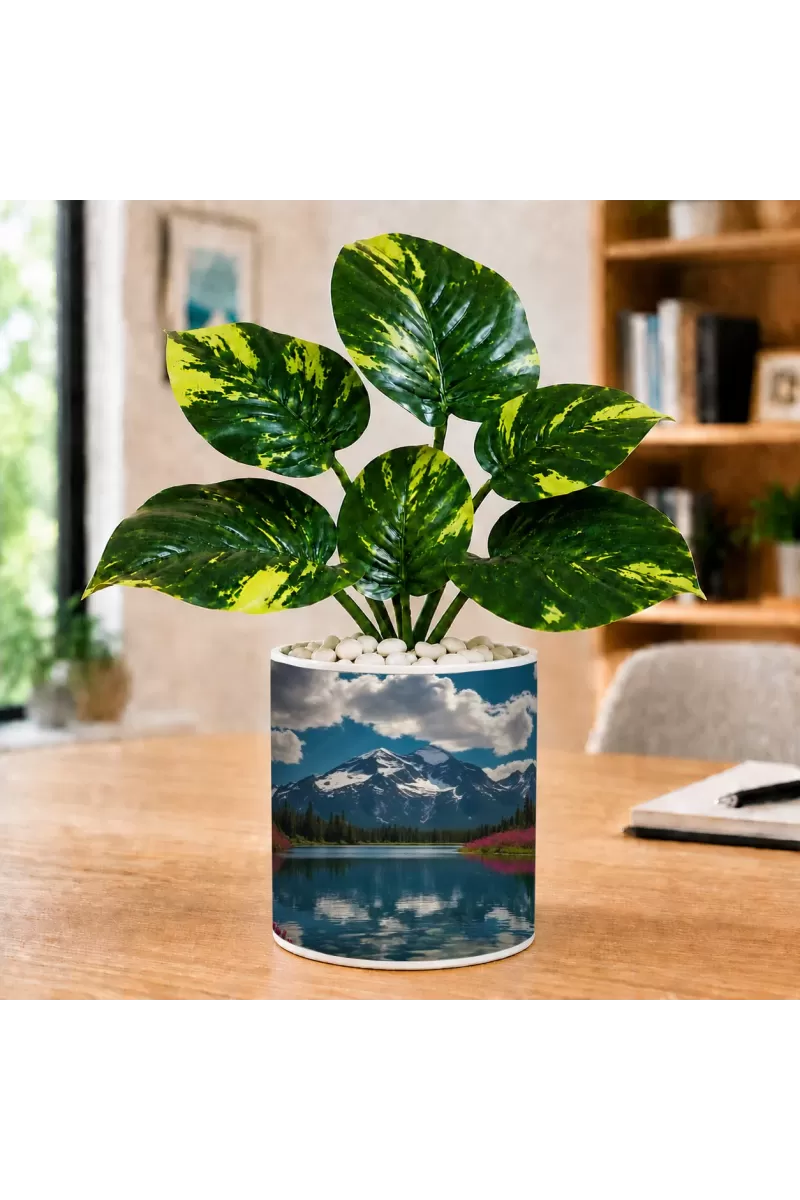 Artificial Tree Ceramic Photo Pot With White Stones 3x4 Inch (F166492)