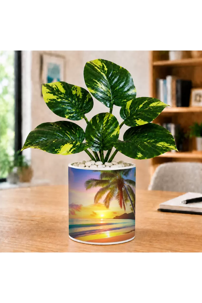 Artificial Tree Ceramic Photo Pot With White Stones 3x4 Inch (F166498)